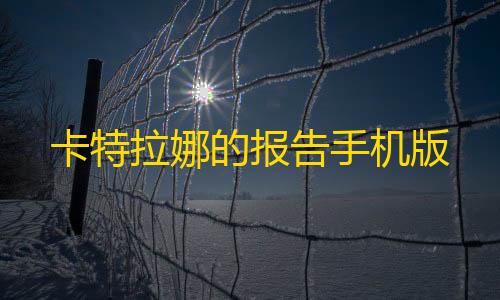 和平精英外设软件卡特拉娜的报告手机版